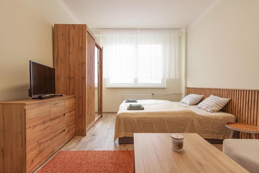 Vysoka Apartman Emf/Stp 布拉迪斯拉发 外观 照片